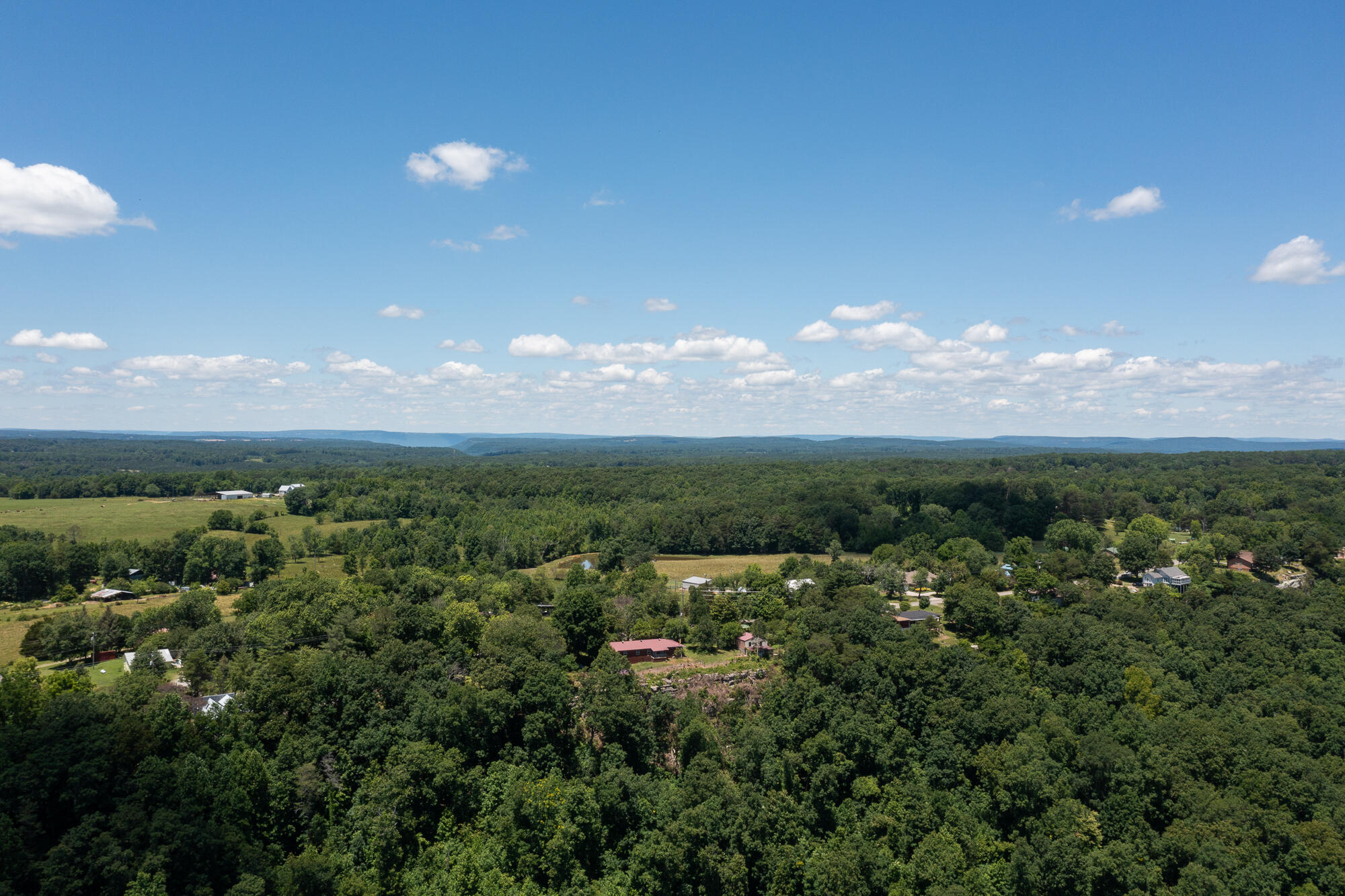 786 Brow Road Trenton, GA 30752 - Photo 19 of 45 20240530_786BrowRd_drone_HoltWebb_0179