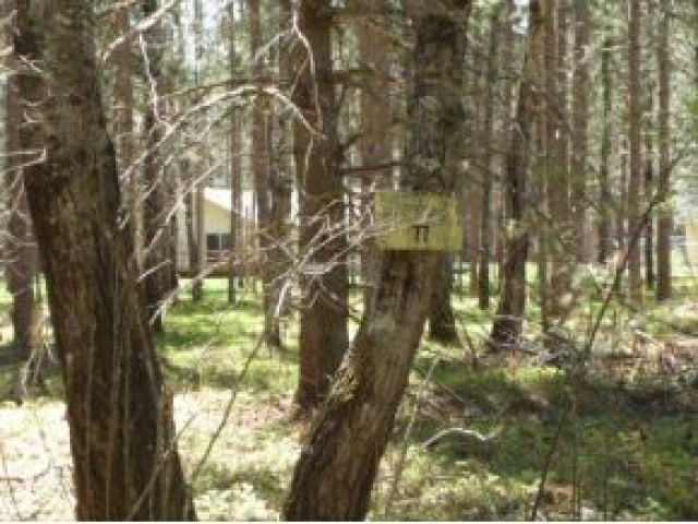 Lot 78 Timber Lane Rhinelander, WI 54501 - Photo 3 of 6 Gallery Image 3