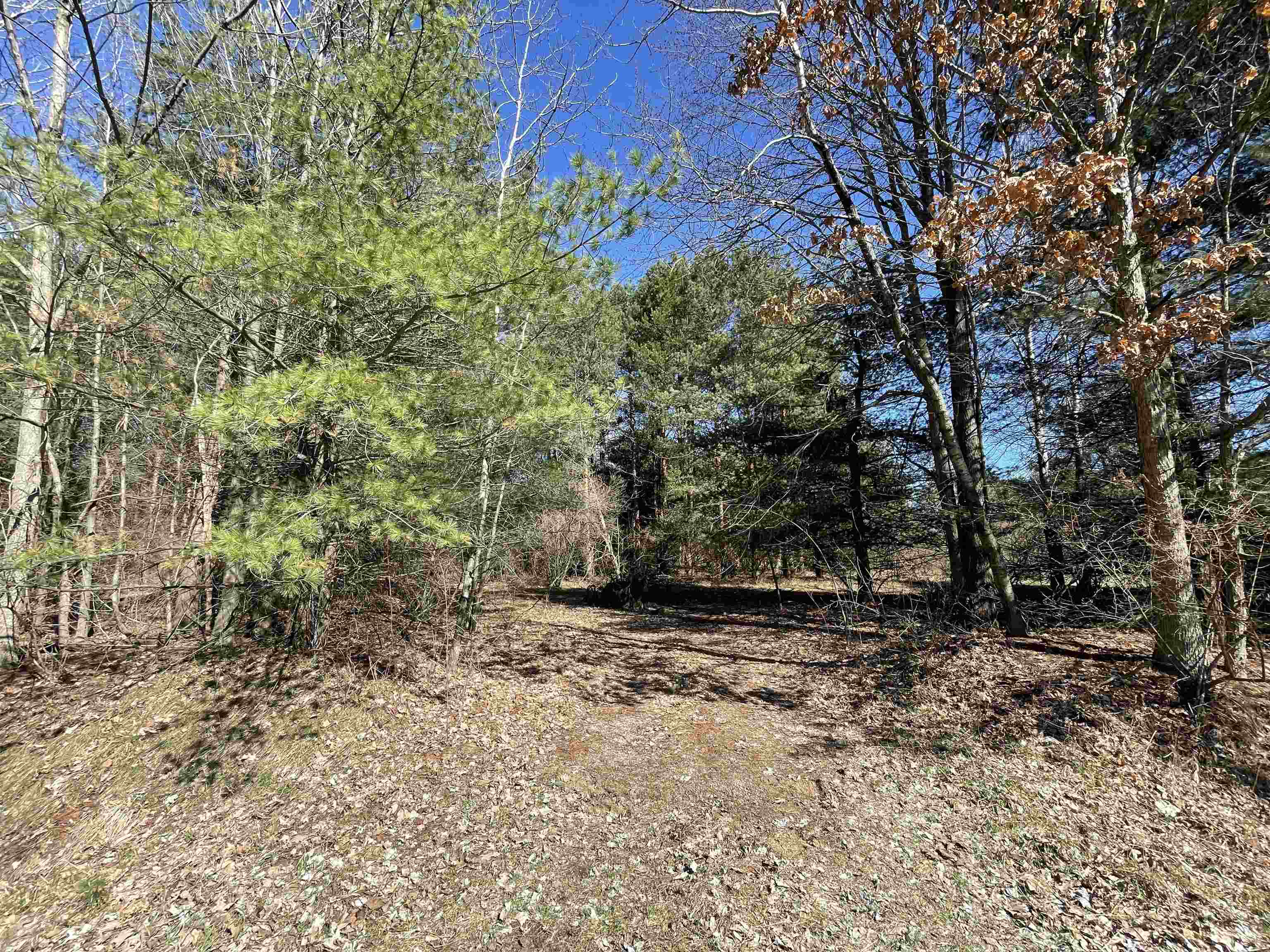 Tbd South Tbd S Fenmore Road Merrill, MI 48637 - Photo 7 of 19