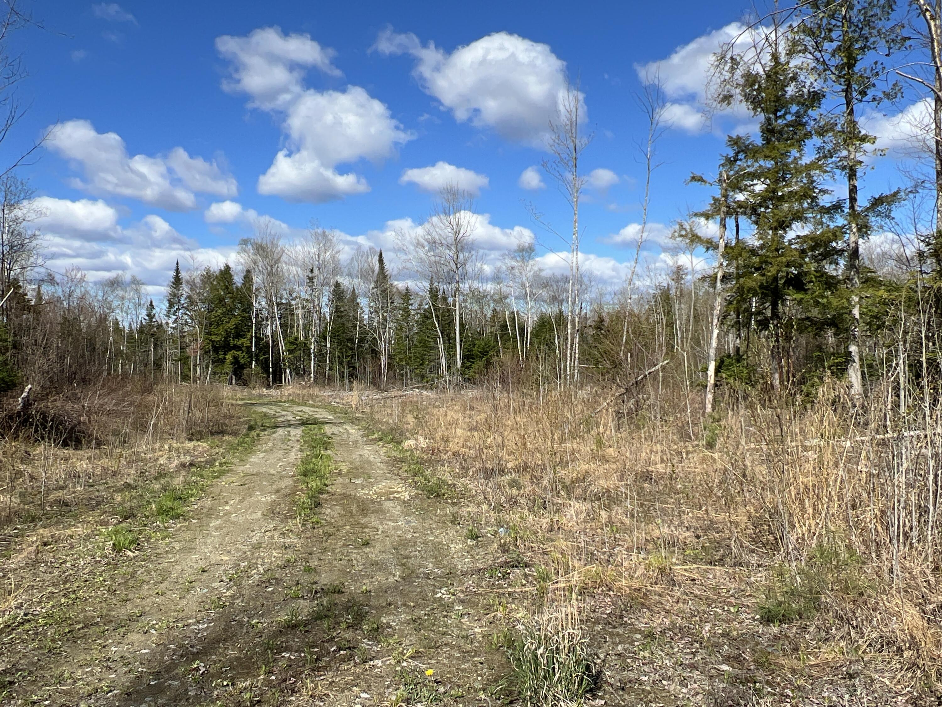 Lot 22 Schoodic Point Road Medford, ME 04463 - Photo 13 of 27 IMG_4178