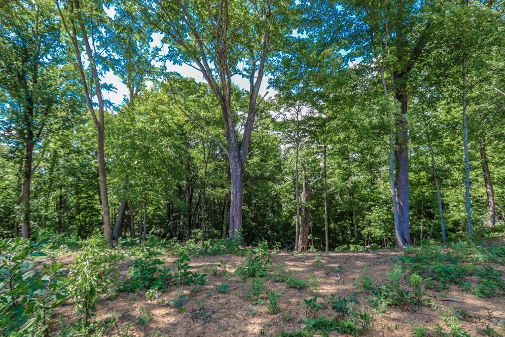 1278 Rankin Hill Road Newport, TN 37821 - Photo 17 of 28 Gallery Image 17