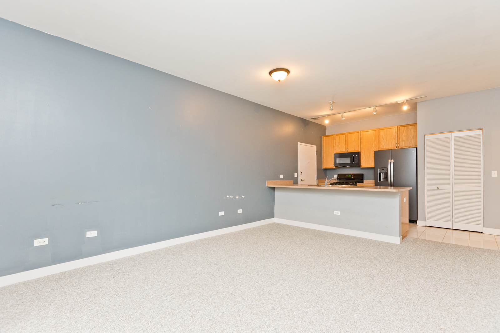 1515 South Halsted Street, Unit 214 Chicago, IL 60607 - Photo 4 of 15