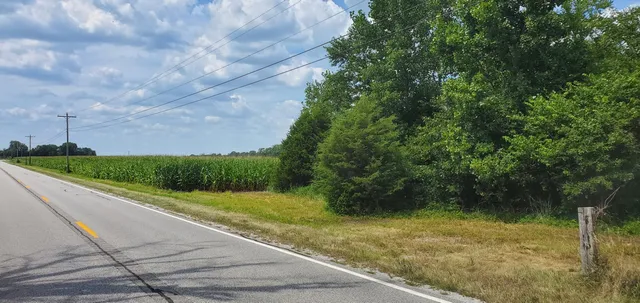 a view of a yard with plants and a bench