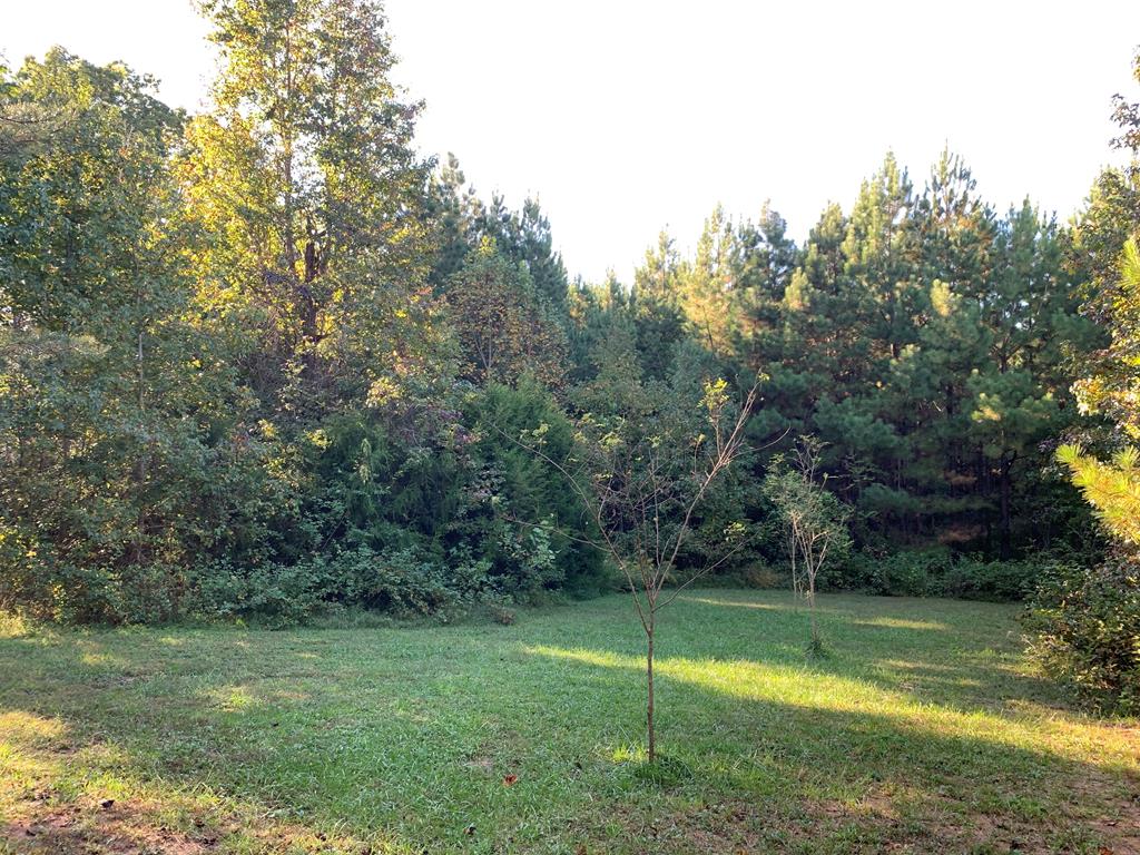 2414 Piney Grove Road Rice, VA 23966 - Photo 28 of 28 Gallery Image 28