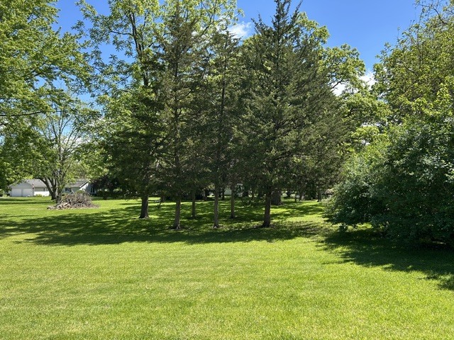 33709 West River Road Wilmington, IL 60481 - Photo 20 of 28 a view of a park