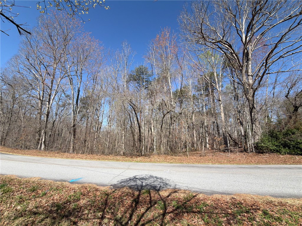 215 Sweetbriar Way Easley, SC 29640 - Photo 3 of 5