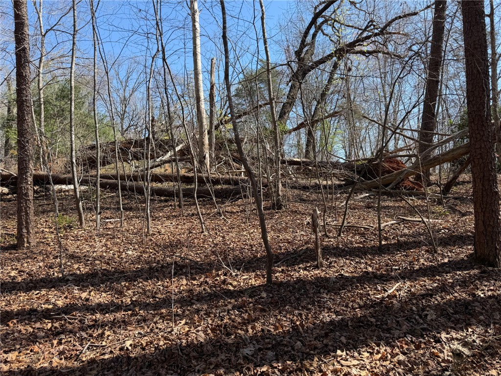 215 Sweetbriar Way Easley, SC 29640 - Photo 4 of 5