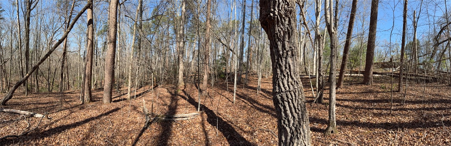 215 Sweetbriar Way Easley, SC 29640 - Photo 5 of 5