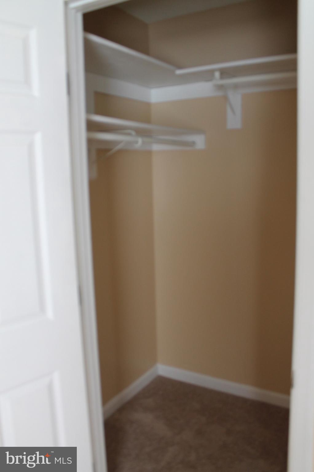 238 Greenleaf Road Strasburg, VA 22657 - Photo 14 of 24 Bedroom (Master)