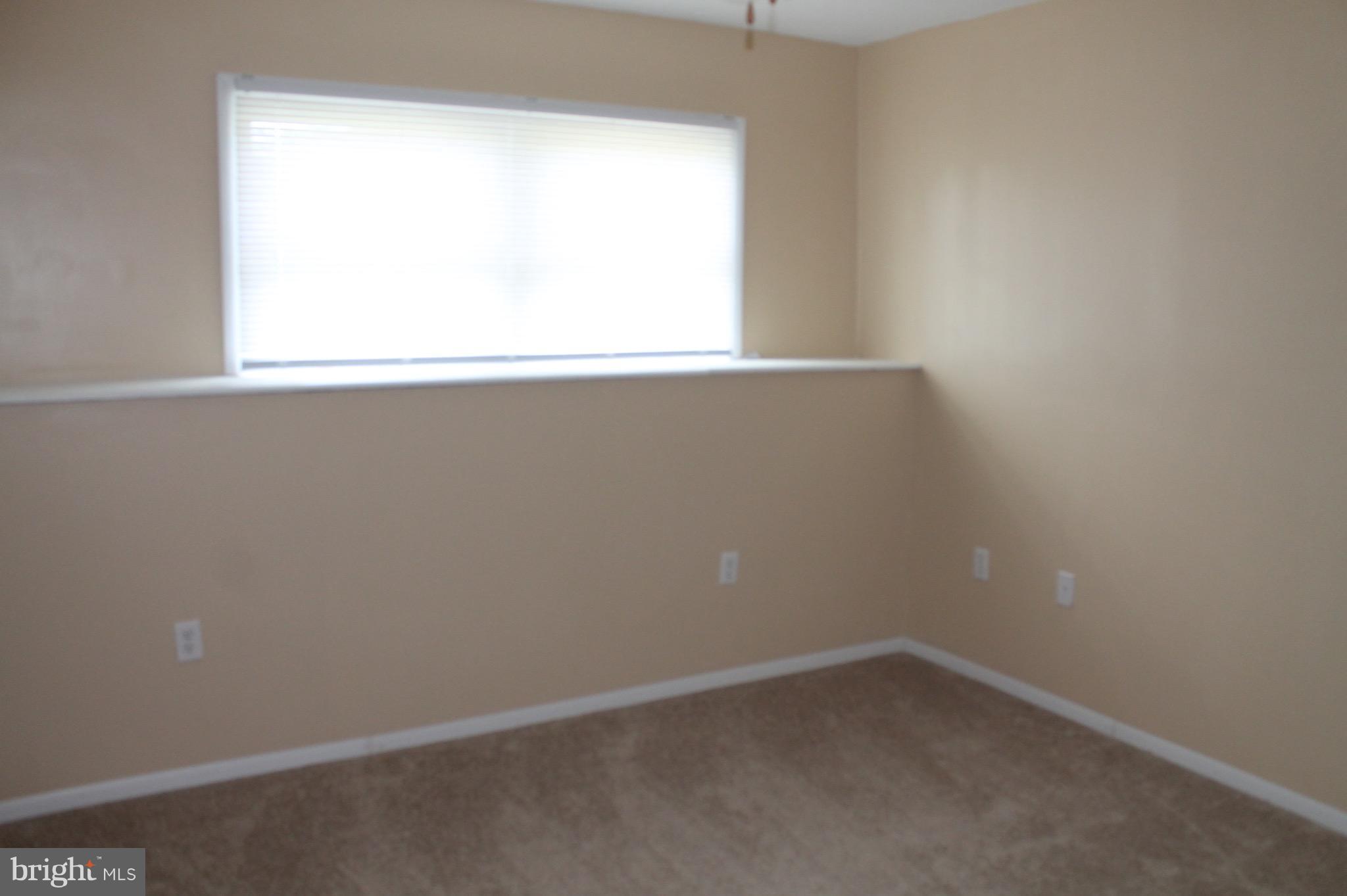 238 Greenleaf Road Strasburg, VA 22657 - Photo 20 of 24 Basement