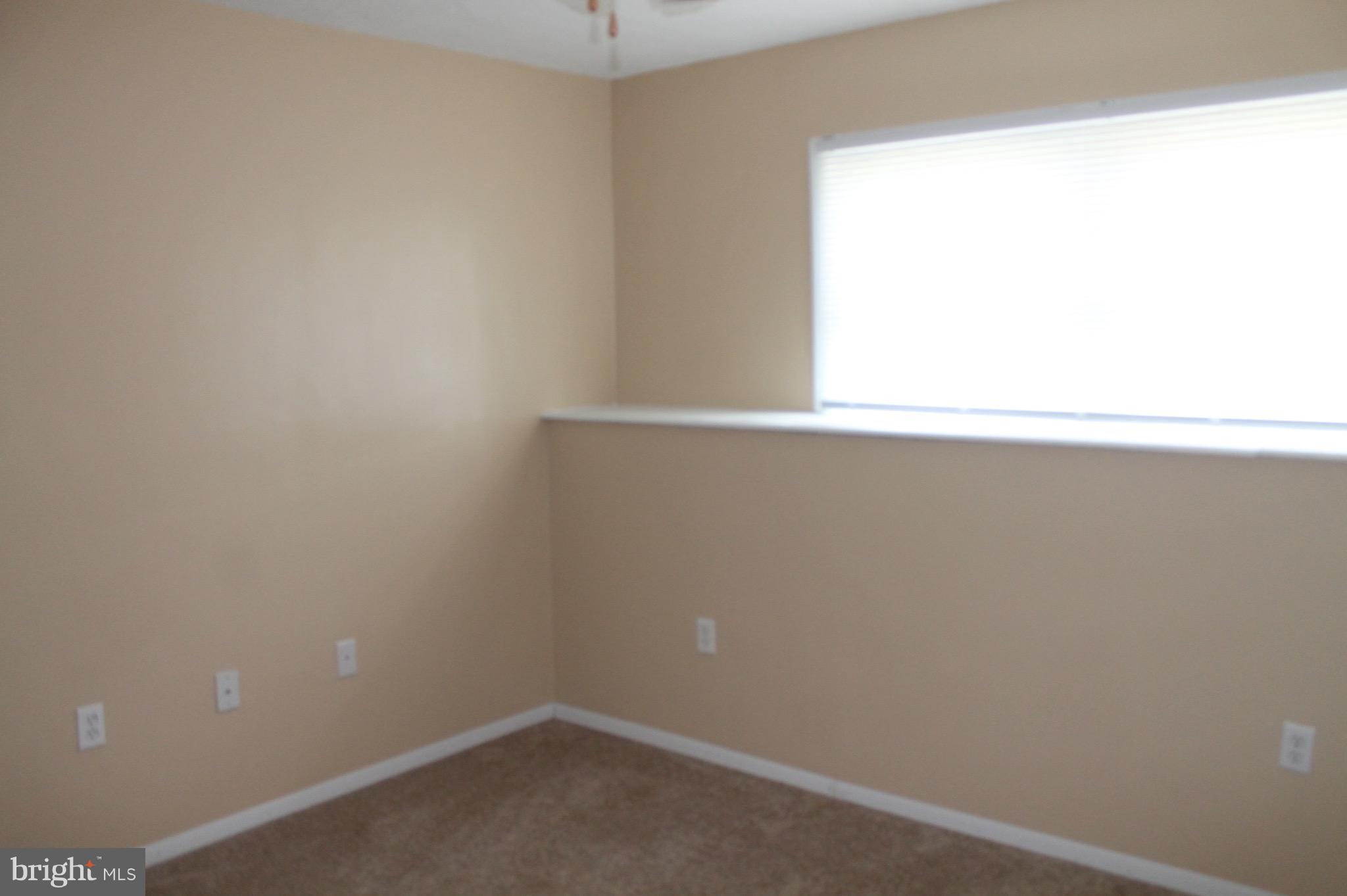 238 Greenleaf Road Strasburg, VA 22657 - Photo 21 of 24 Basement