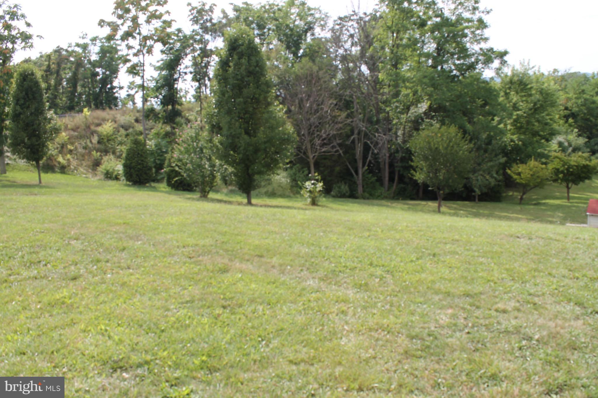 238 Greenleaf Road Strasburg, VA 22657 - Photo 6 of 24 Exterior (Rear)
