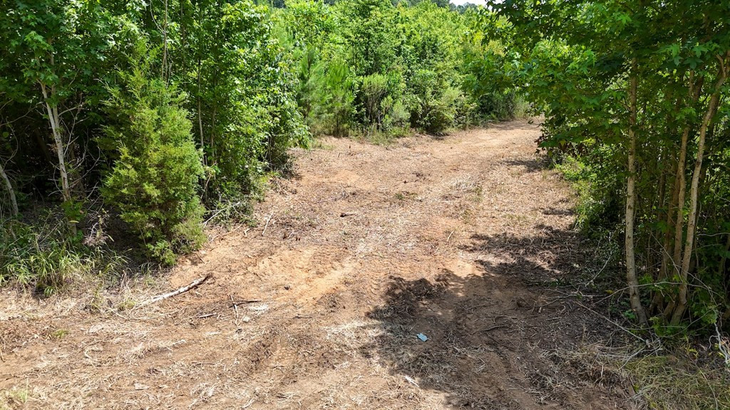 Tbd McClain Road Liberty, MS 39645 - Photo 4 of 13 Photo 4