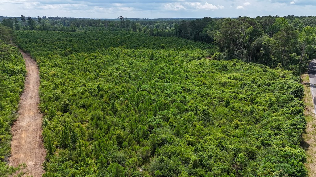 Tbd McClain Road Liberty, MS 39645 - Photo 5 of 13 Photo 5