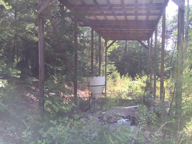 399 Archville Road Reliance, TN 37369 - Photo 11 of 24 IMG_7795