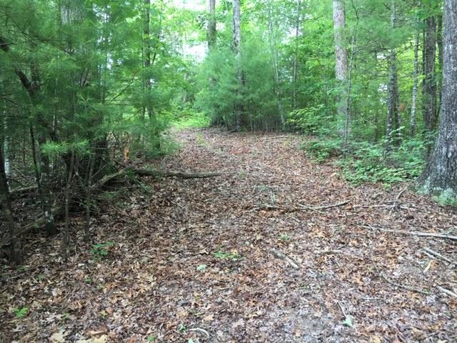 399 Archville Road Reliance, TN 37369 - Photo 20 of 24 IMG_7823