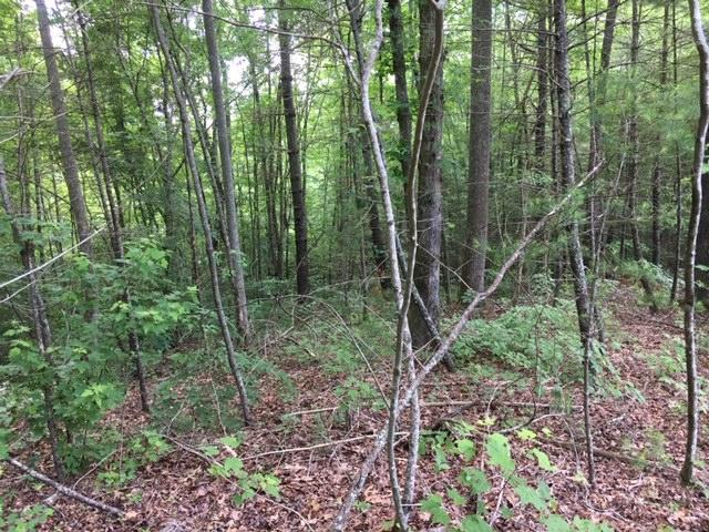 399 Archville Road Reliance, TN 37369 - Photo 21 of 24 IMG_7824