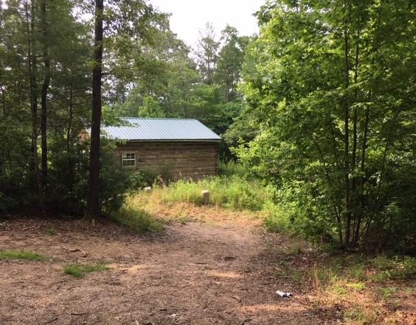 399 Archville Road Reliance, TN 37369 - Photo 22 of 24 IMG_7827 (2)