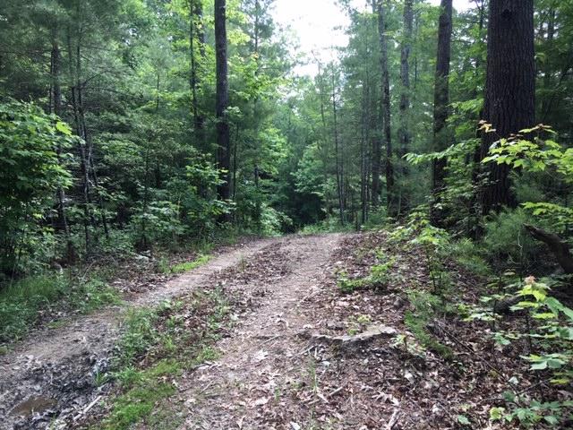 399 Archville Road Reliance, TN 37369 - Photo 23 of 24 IMG_7831