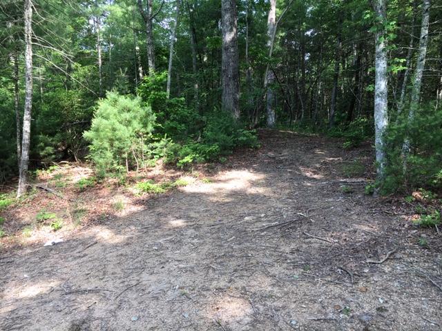 399 Archville Road Reliance, TN 37369 - Photo 24 of 24 IMG_7835