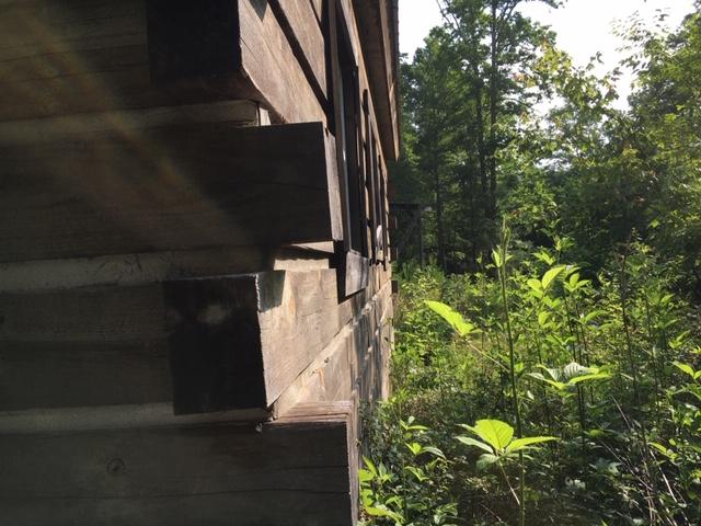 399 Archville Road Reliance, TN 37369 - Photo 6 of 24 IMG_7789