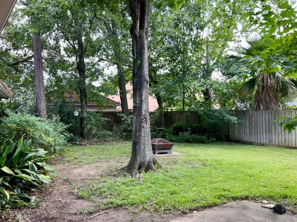 a view of a backyard with large trees and wooden fence