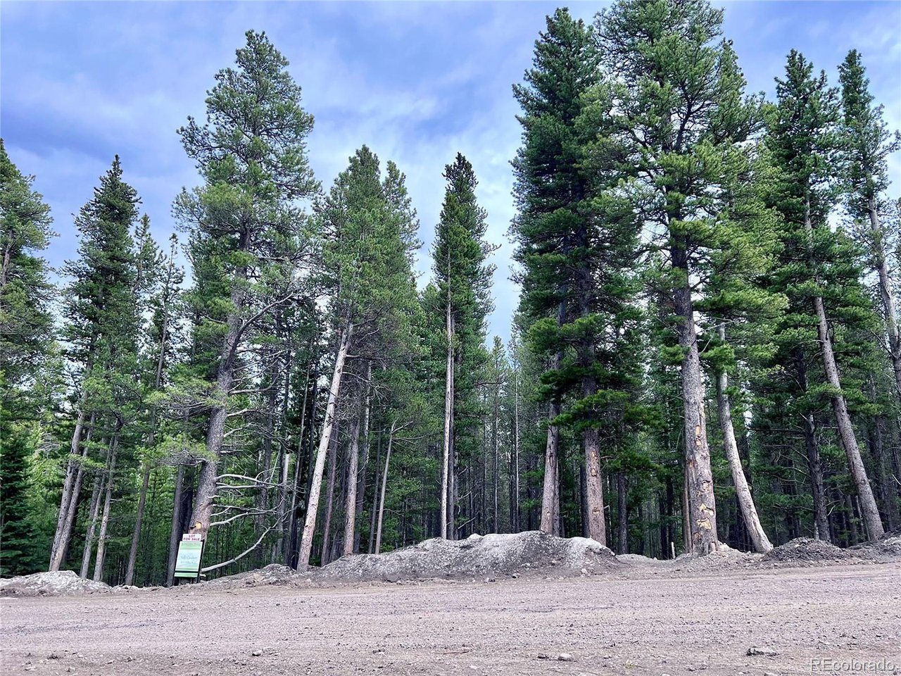 171 Lower Forest Road Idaho Springs, CO 80452 - Photo 1 of 30 a view of a road with trees
