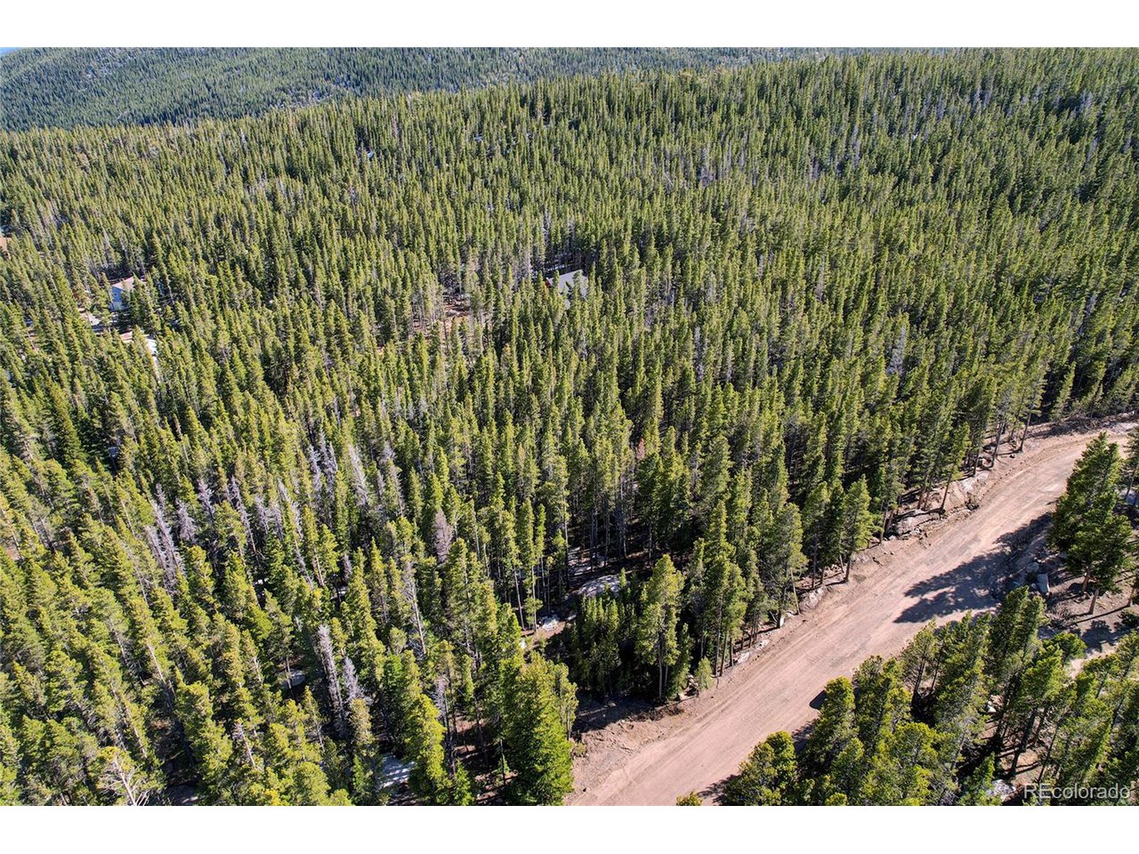 171 Lower Forest Road Idaho Springs, CO 80452 - Photo 12 of 30 a view of a garden