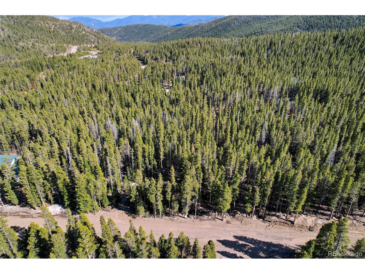 171 Lower Forest Road Idaho Springs, CO 80452 - Photo 13 of 30 a view of a yard with a tree