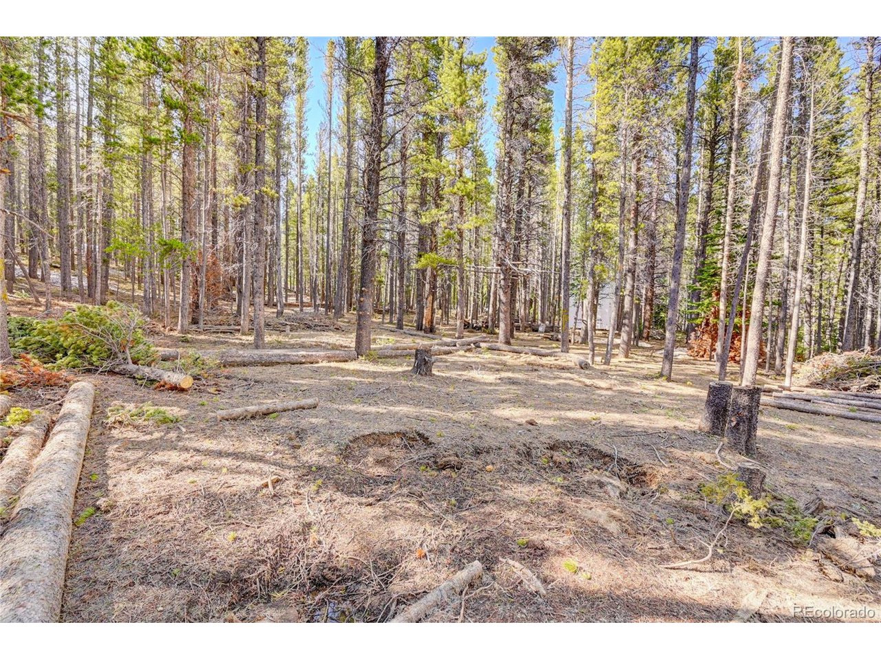 171 Lower Forest Road Idaho Springs, CO 80452 - Photo 17 of 30 a view of large space with a street