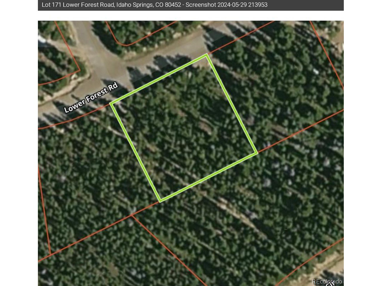 171 Lower Forest Road Idaho Springs, CO 80452 - Photo 20 of 30 a close up of a plant in a