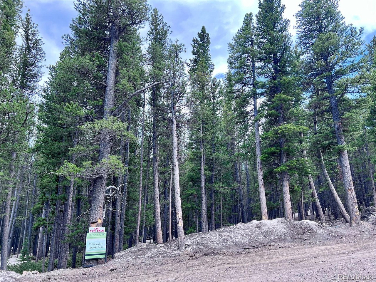 171 Lower Forest Road Idaho Springs, CO 80452 - Photo 22 of 30 a view of a park with trees and plants