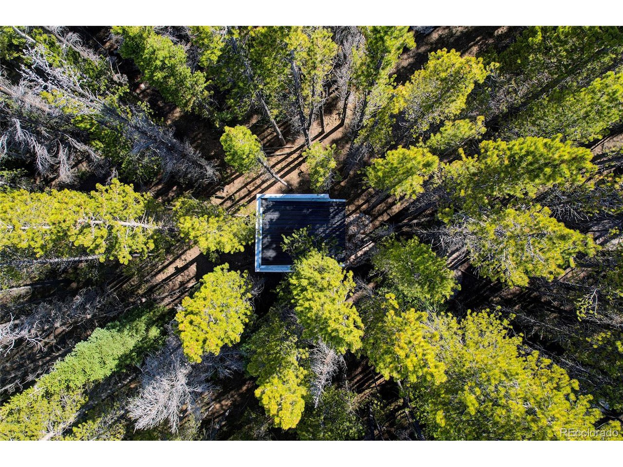 171 Lower Forest Road Idaho Springs, CO 80452 - Photo 26 of 30 a view of a back yard of the house and green space