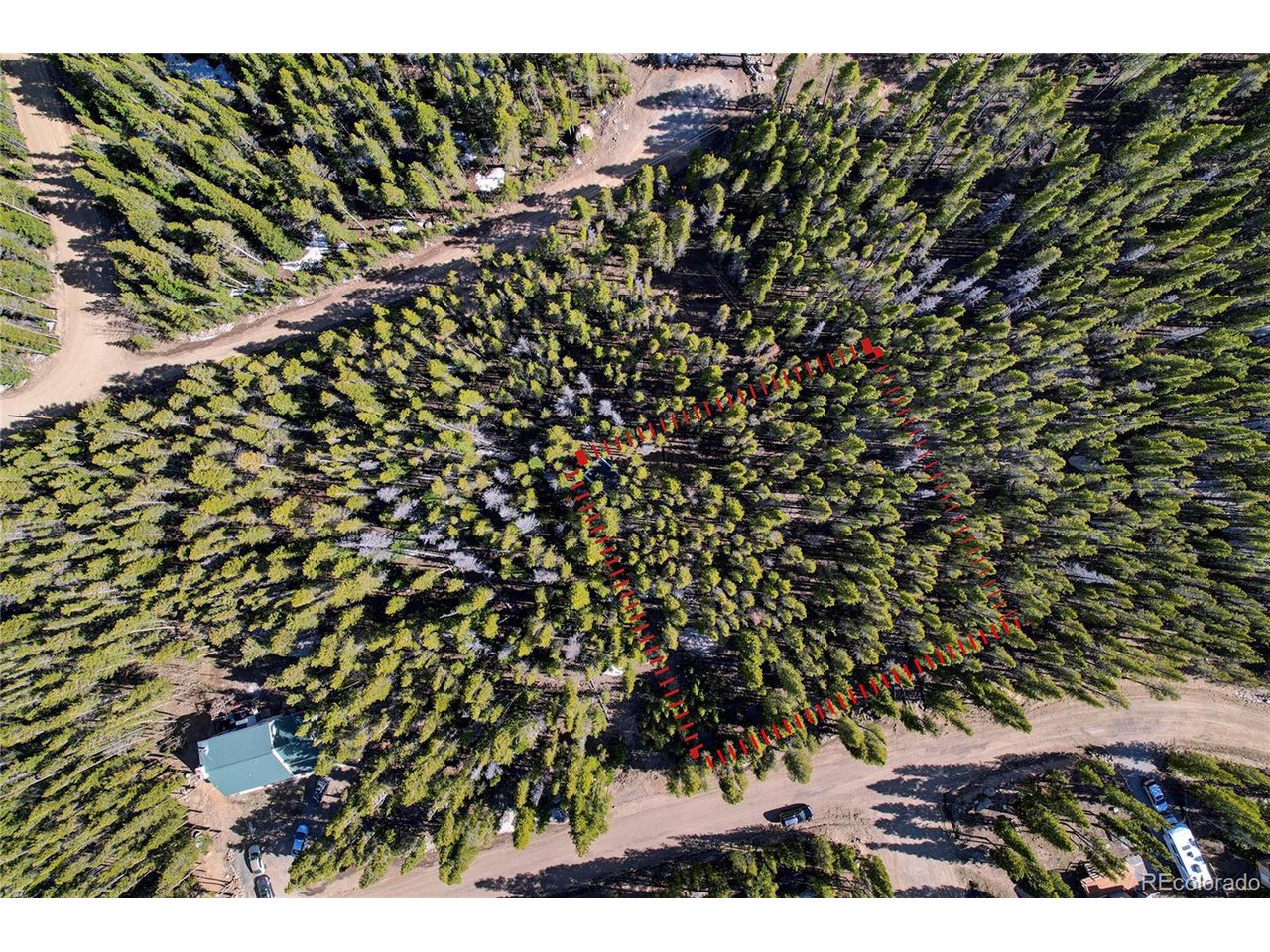 171 Lower Forest Road Idaho Springs, CO 80452 - Photo 27 of 30 a view of a plant