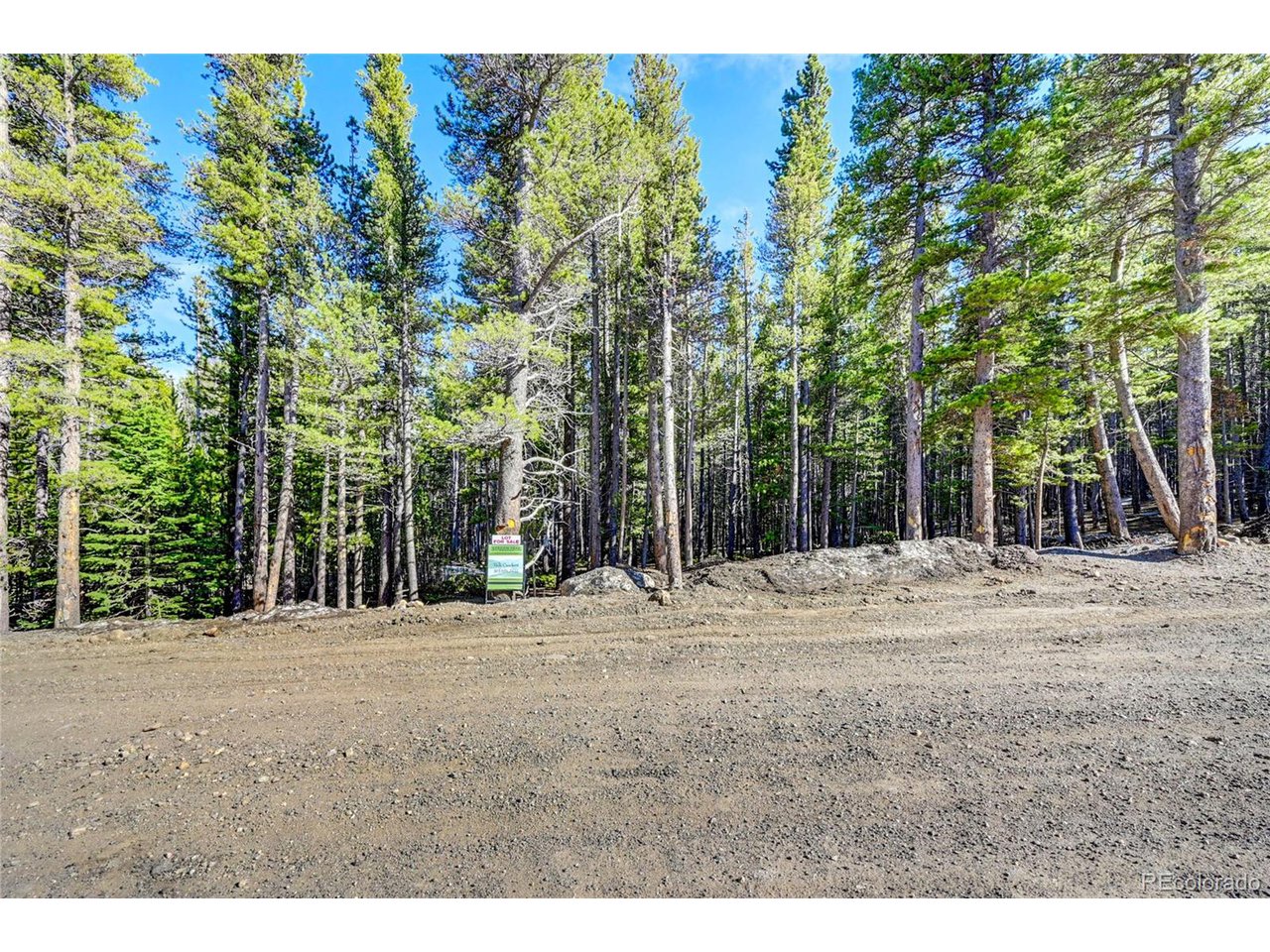 171 Lower Forest Road Idaho Springs, CO 80452 - Photo 3 of 30 a backyard of a house with large trees