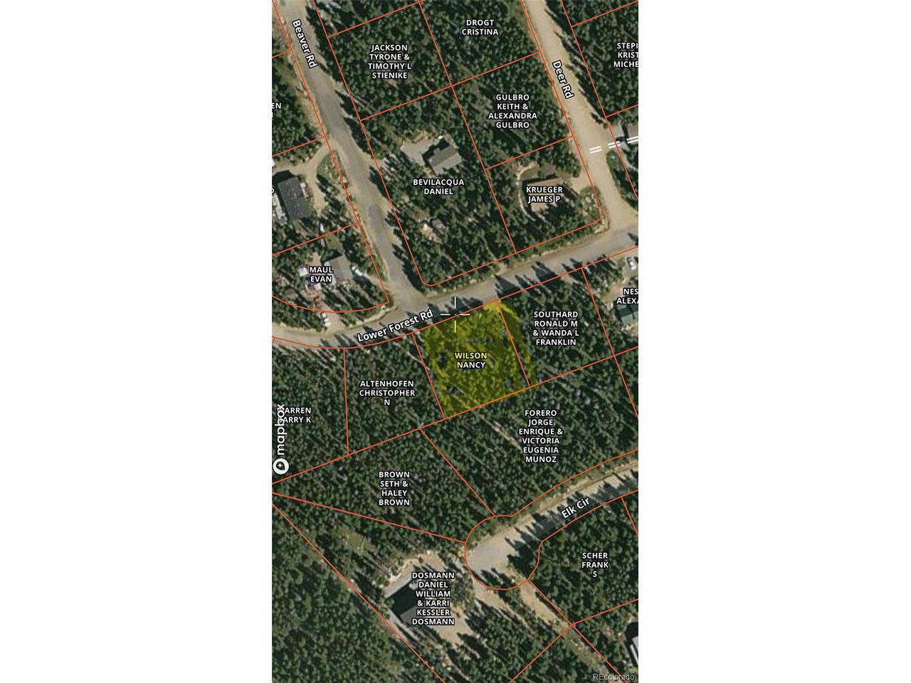 171 Lower Forest Road Idaho Springs, CO 80452 - Photo 4 of 30 a close up of a plant in a window