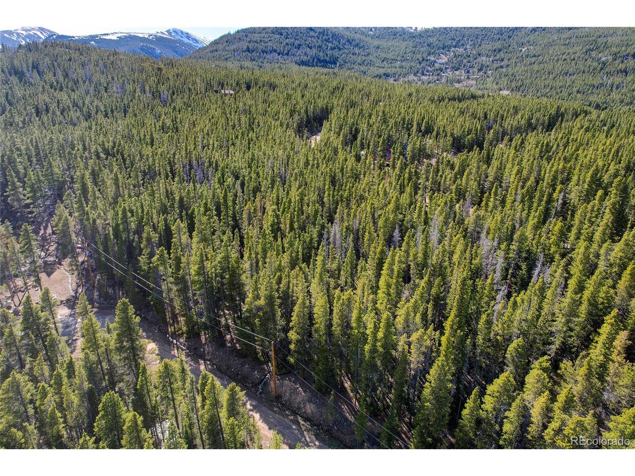 171 Lower Forest Road Idaho Springs, CO 80452 - Photo 8 of 30 a view of a lush green field with a tree