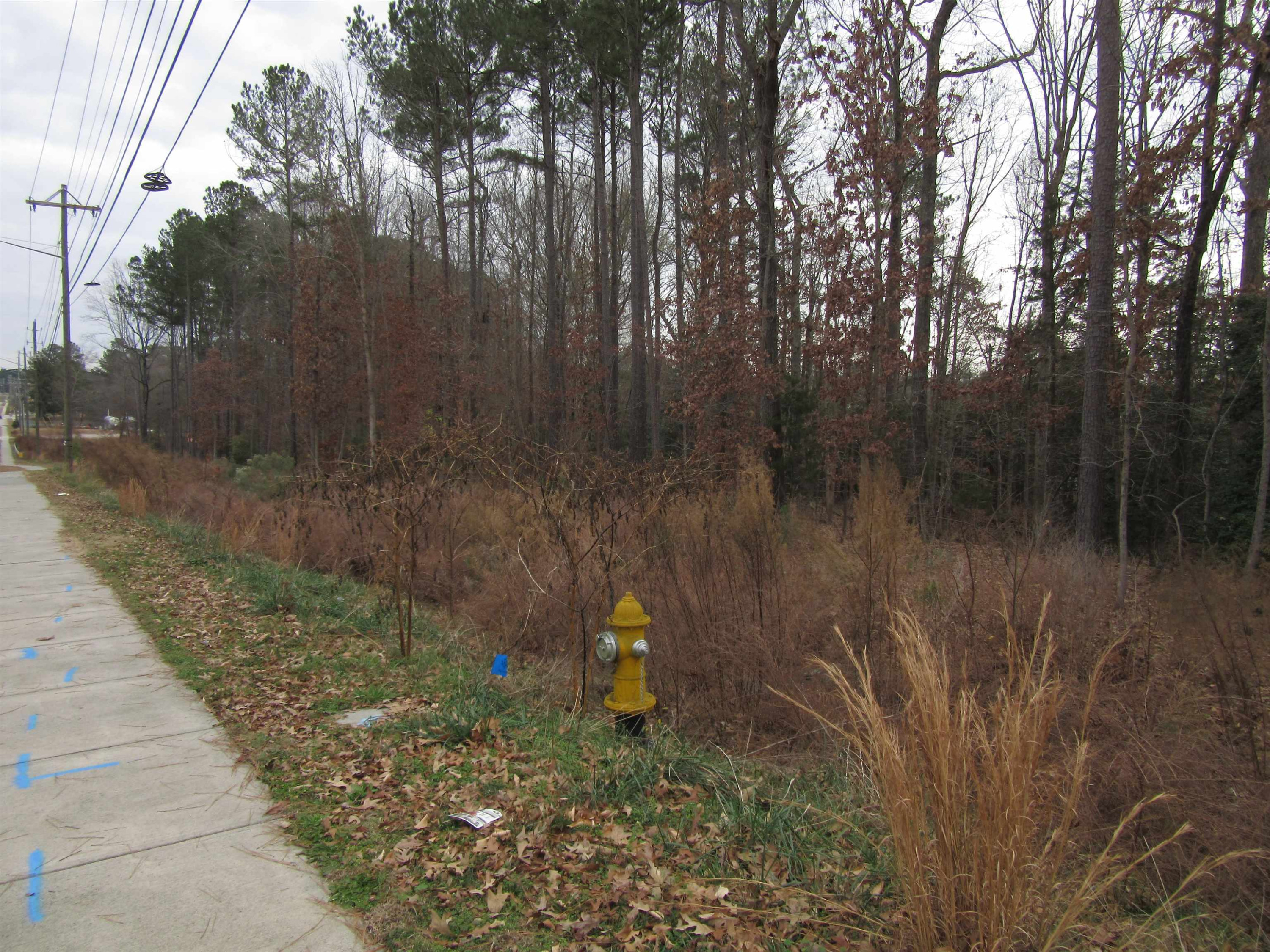 3824 Mitchell Mill Road Raleigh, NC 27616 - Photo 8 of 11 Photo 8