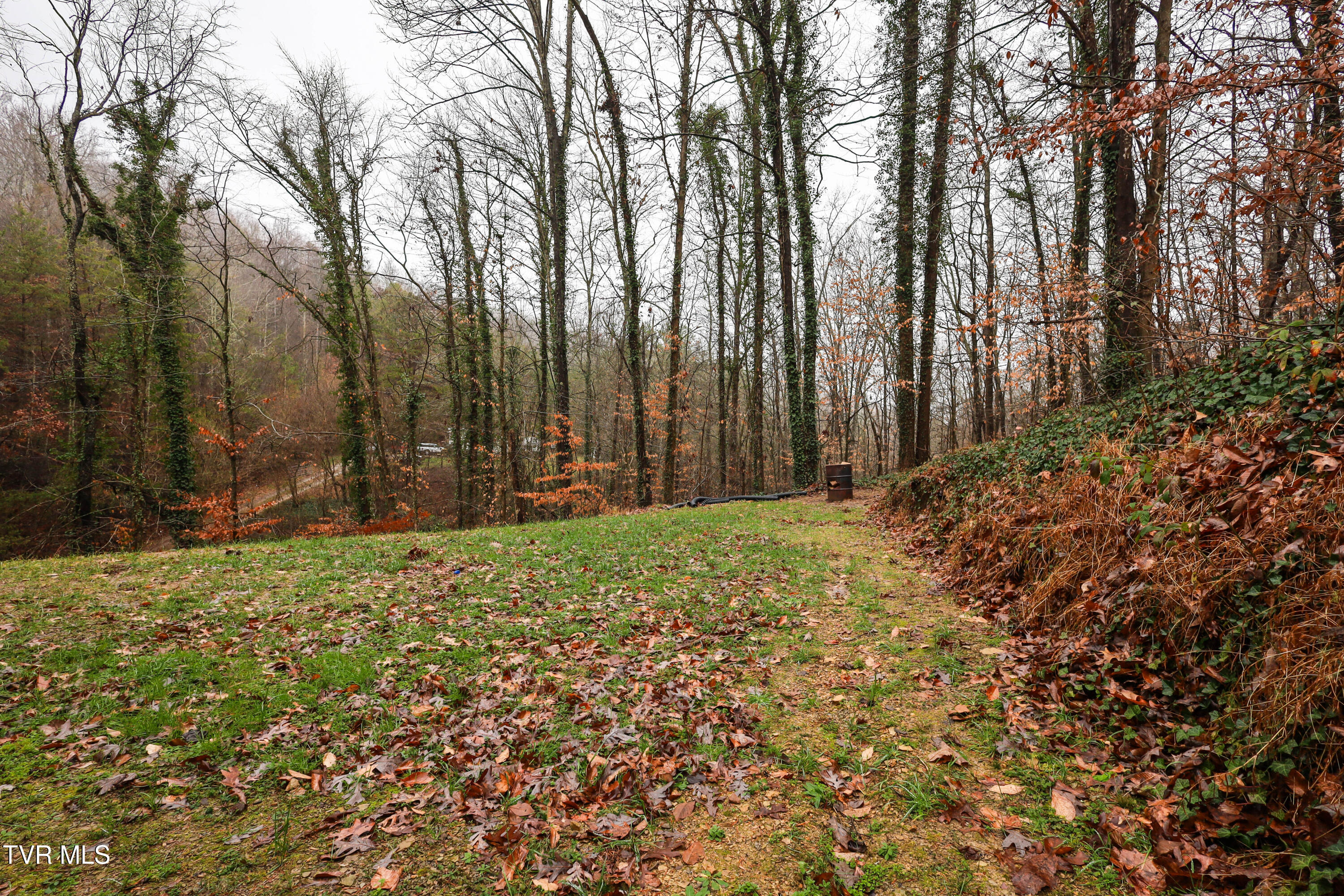900 Mt Olive Road Andersonville, TN 37705 - Photo 21 of 21 IMG_0606