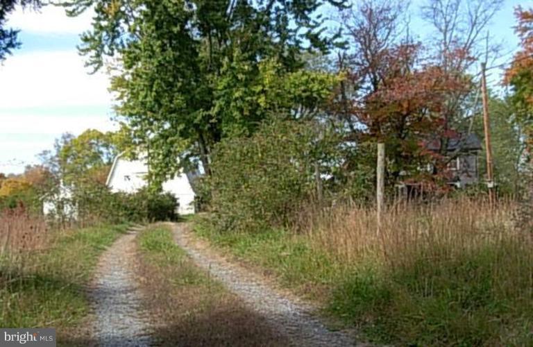 43372 Spinks Ferry Road Leesburg, VA 20176 - Photo 2 of 5 Driveway to Property