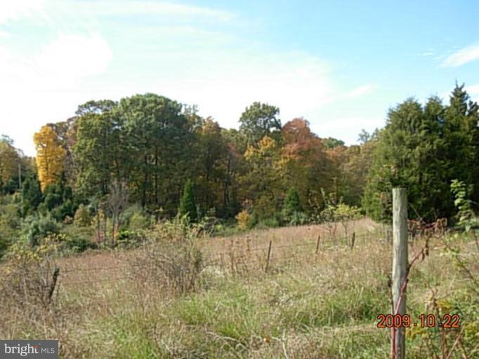 43372 Spinks Ferry Road Leesburg, VA 20176 - Photo 4 of 5 Field and Treed Area