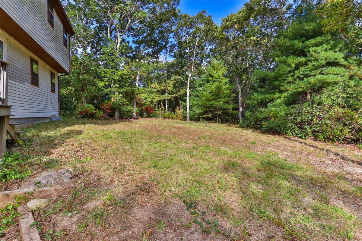 41 Service Road East Sandwich, MA 02537 - Photo 33 of 38 a view of a yard with trees
