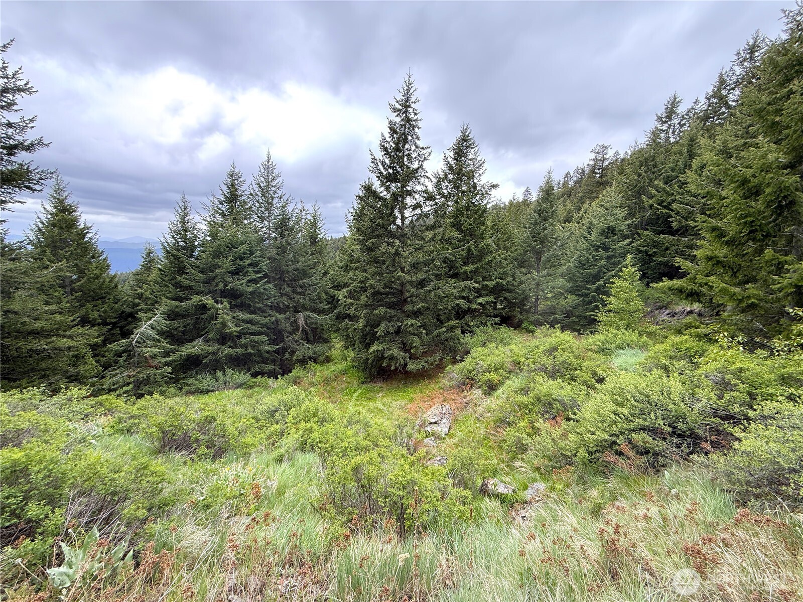 0 Pontiac Ridge Road Oroville, WA 98844 - Photo 5 of 21