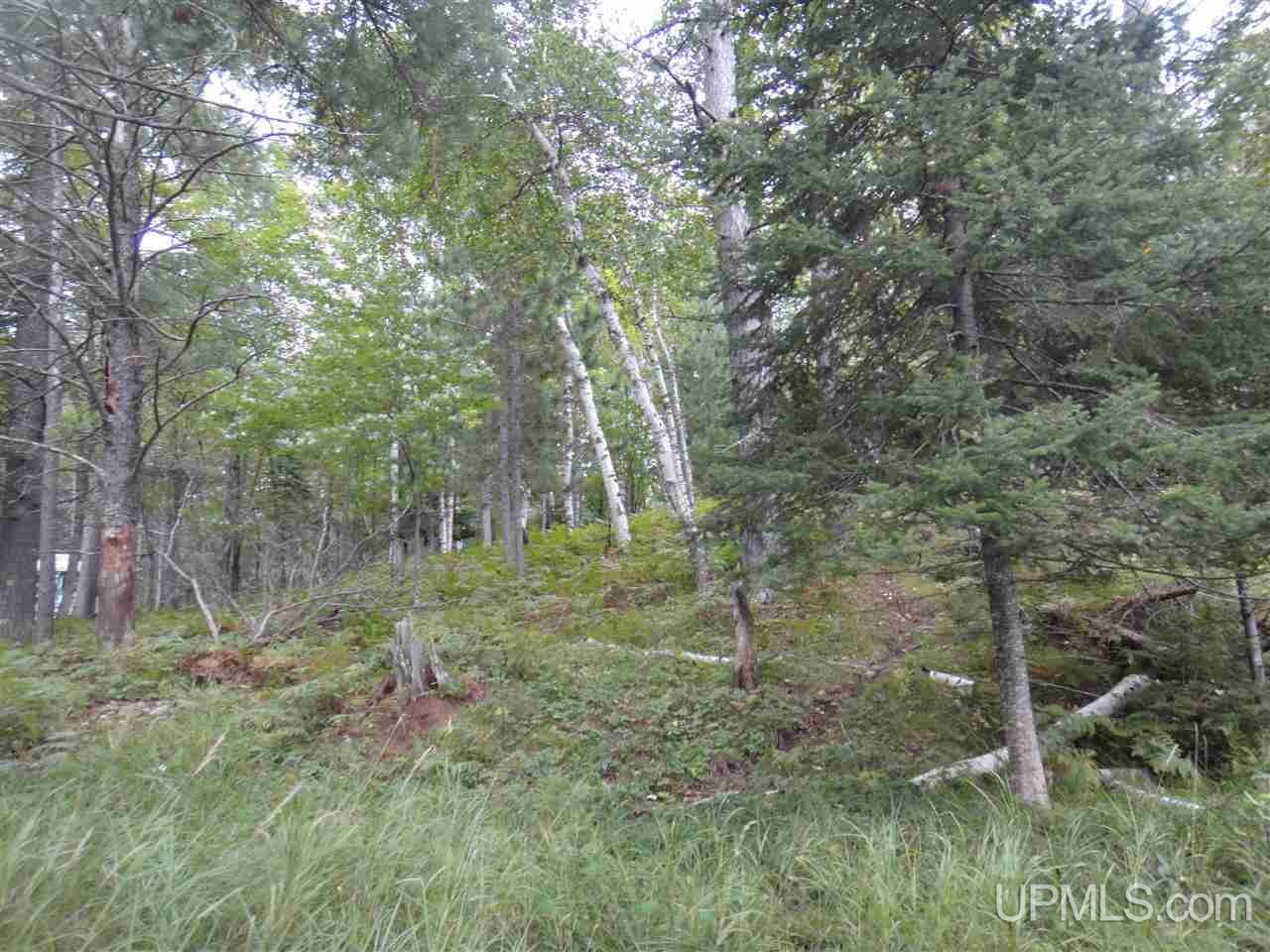 Tbd South Shore Road, Unit 14 Crystal Falls, MI 49920 - Photo 11 of 13 Gallery Image 11