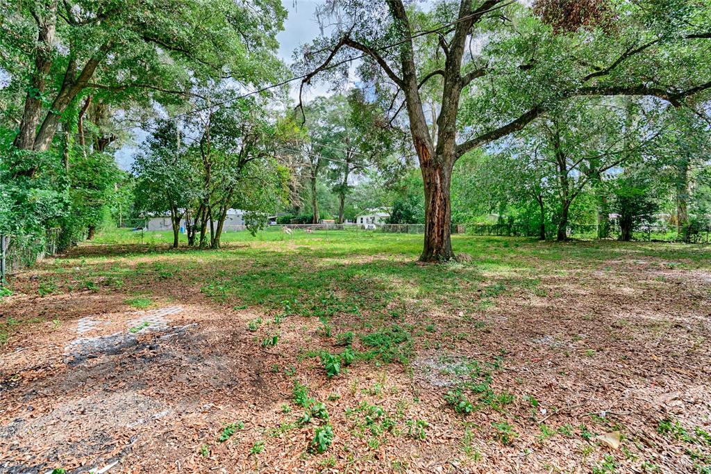 209 Southeast 47th Street Gainesville, FL 32641 - Photo 20 of 29 a view of a trees with a backyard