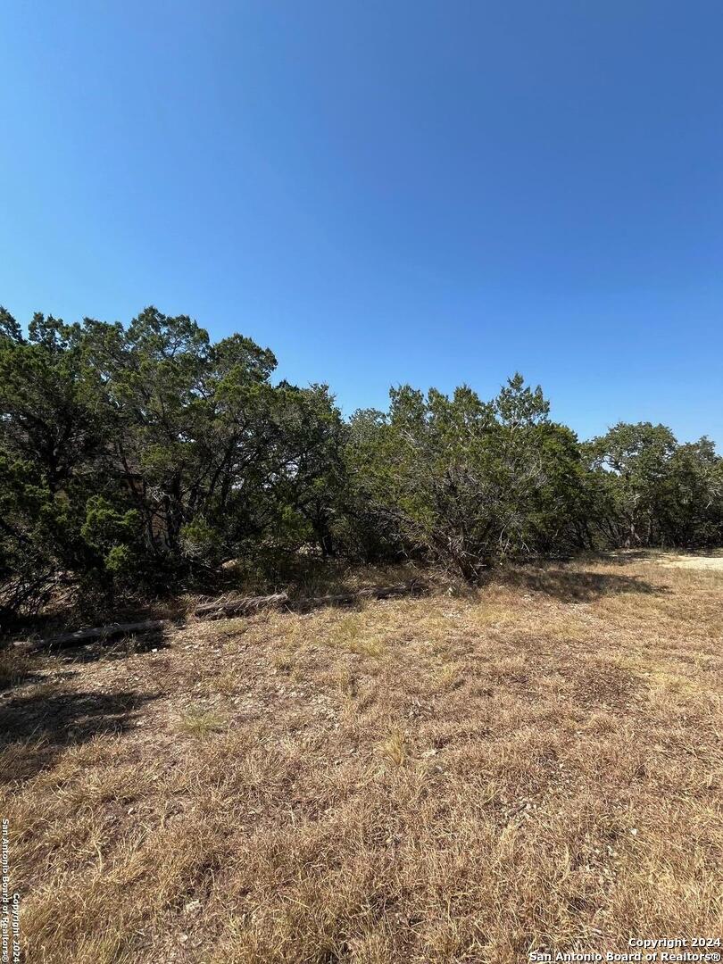 1585 Hilltop Ridge New Braunfels, TX 78132 - Photo 1 of 15