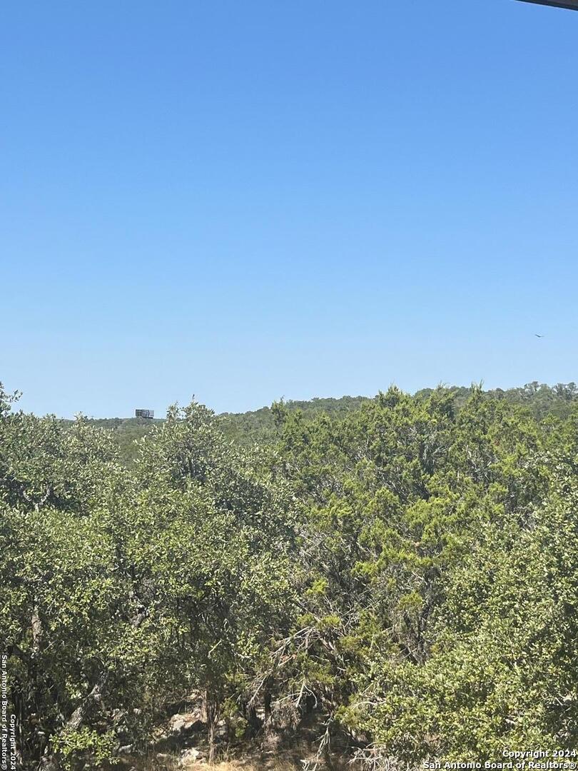 1585 Hilltop Ridge New Braunfels, TX 78132 - Photo 11 of 15