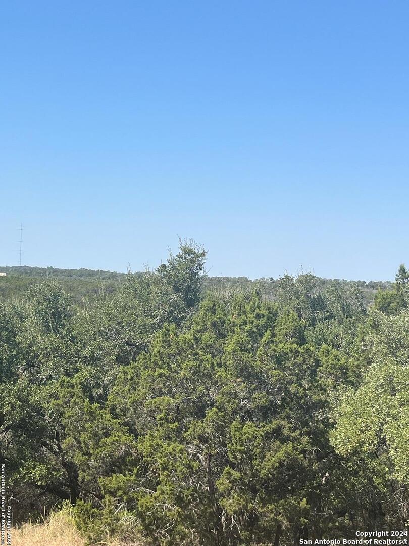 1585 Hilltop Ridge New Braunfels, TX 78132 - Photo 12 of 15
