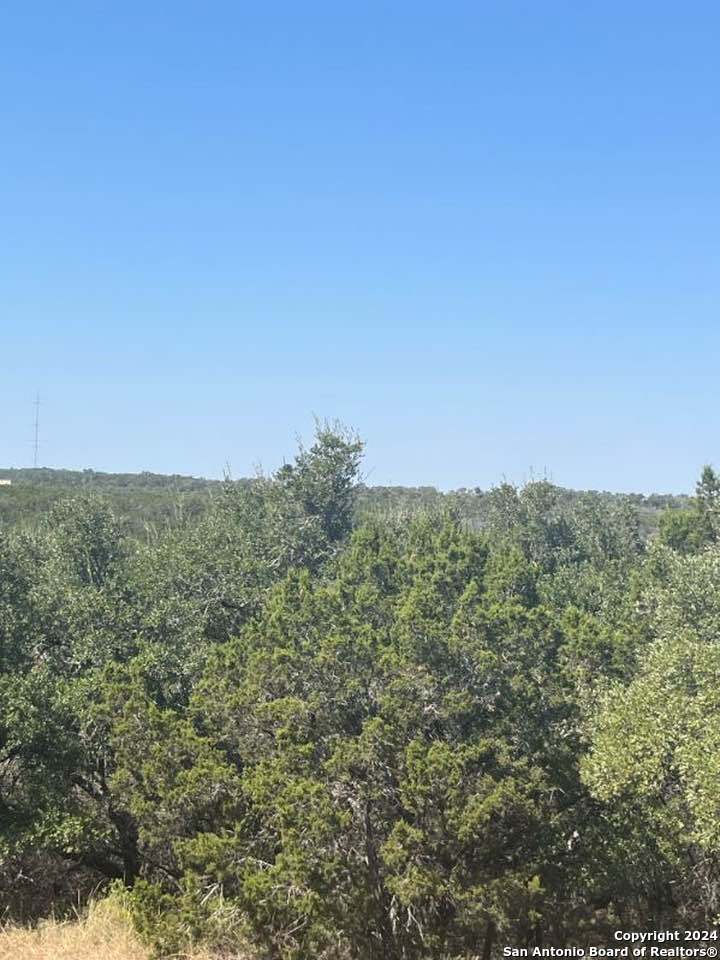 1585 Hilltop Ridge New Braunfels, TX 78132 - Photo 10 of 15