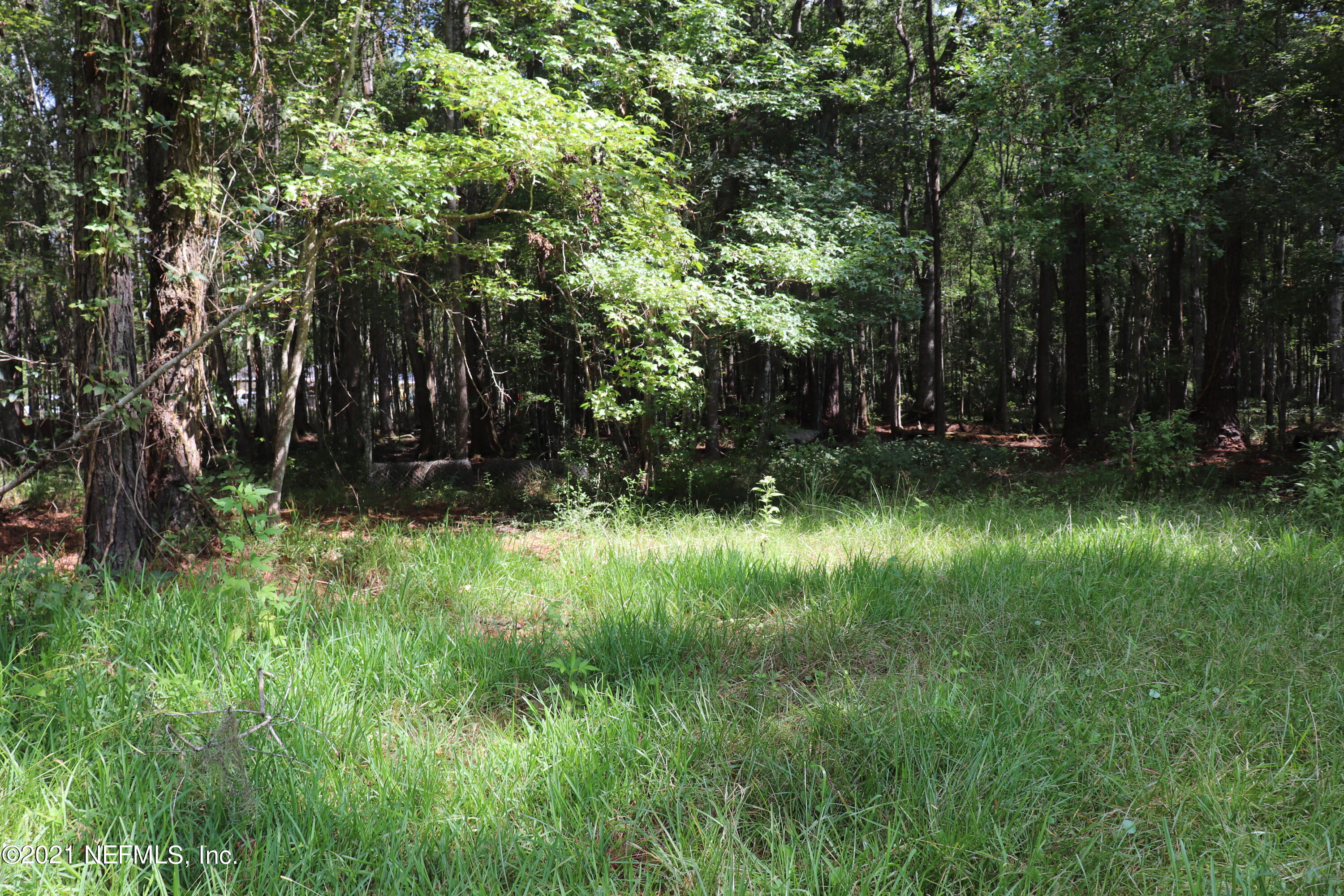 8539 Thomas Road Jacksonville, FL 32219 - Photo 37 of 38 view into wooded area